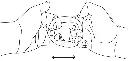Bumpi-Instructions_1.webp