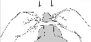 Bumpi-Instructions_2.webp