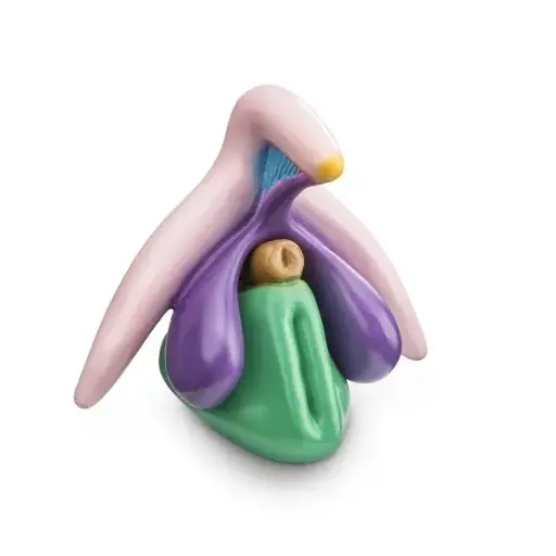 [MO CLIT] Klitorismodell